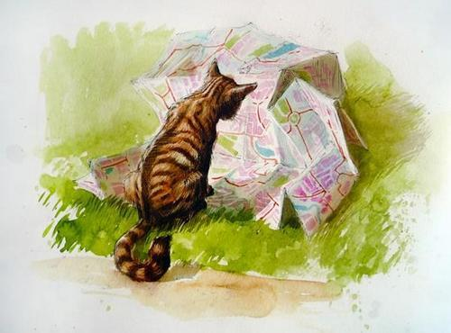 A striped cat curiously inspects a large, crumpled pile of colorful maps in a grassy setting.